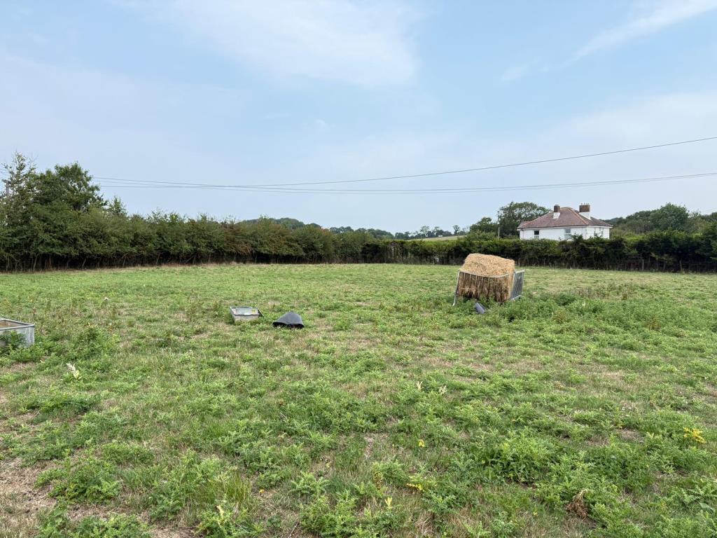 Lot: 173 - TRADITIONAL FARMHOUSE FOR REFURBISHMENT AND BARN WITH PLANNING FOR RESIDENTIAL CONVERSION - APPROXIMATELY 17.5 ACRES - View of grazing field